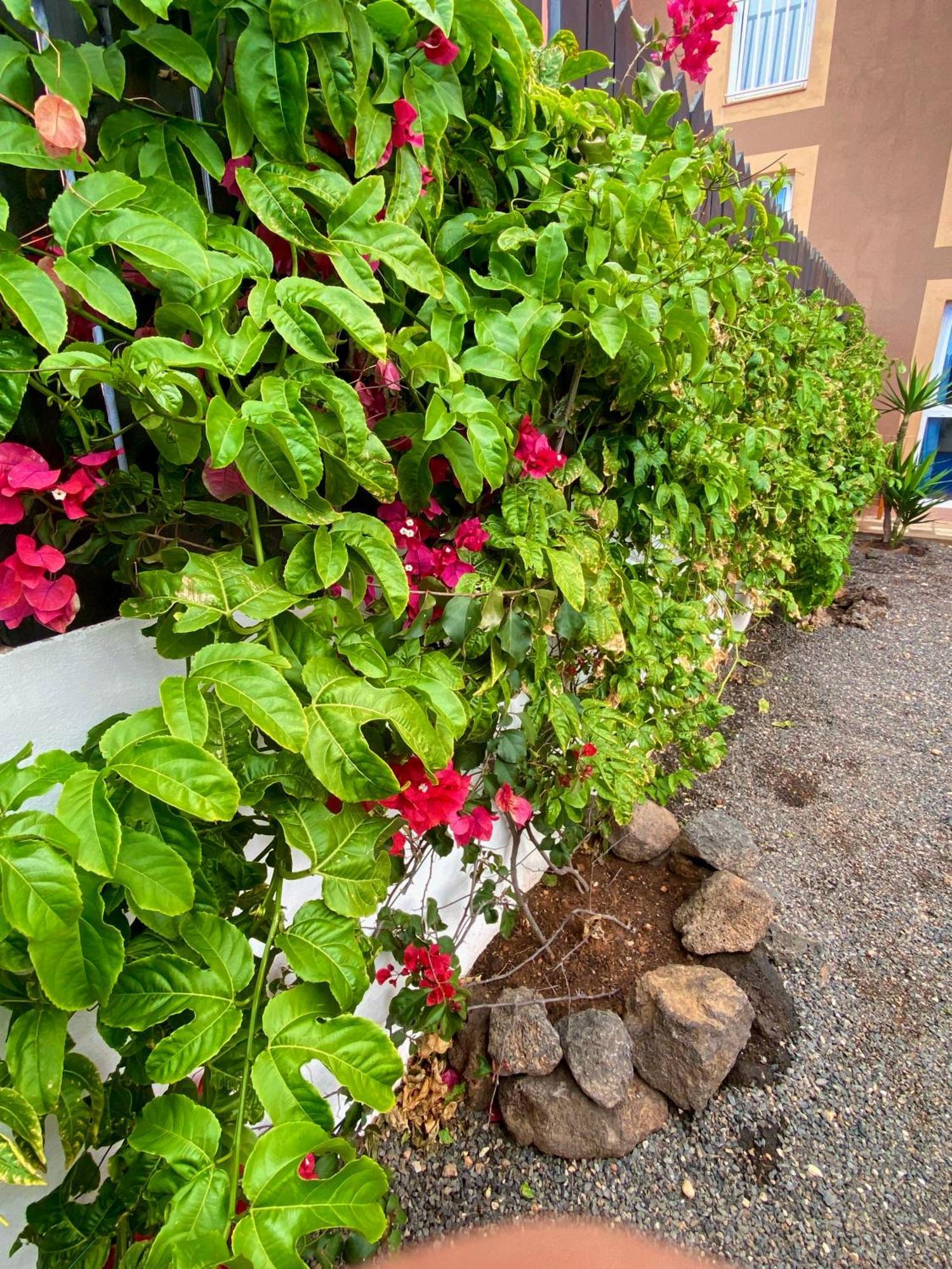 Blue Wave House Corralejo Apartment La Oliva Exterior photo